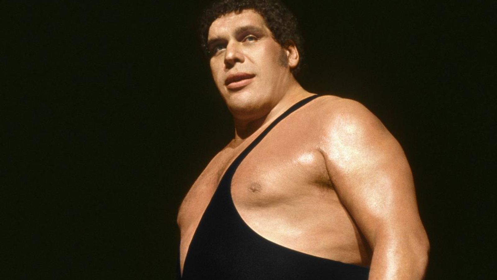 Andre the Giant Wife: Meet the Remarkable Woman Behind the Legend